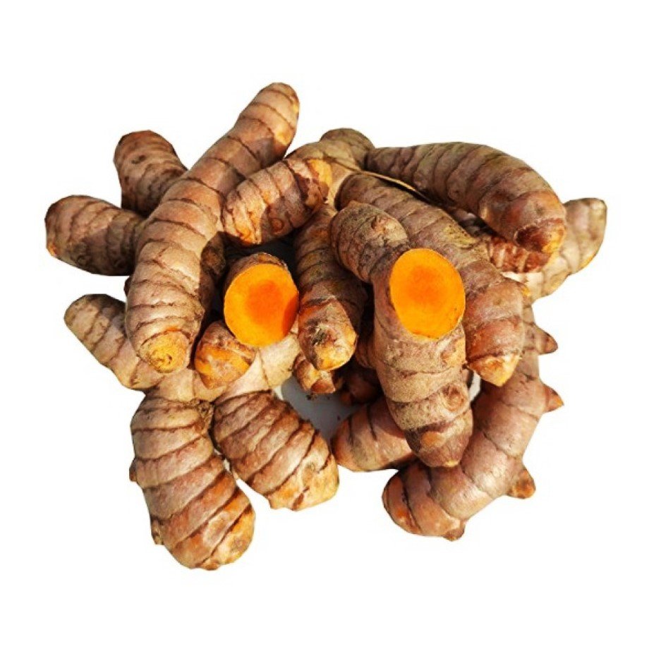 Fresh Turmeric Rhizomes